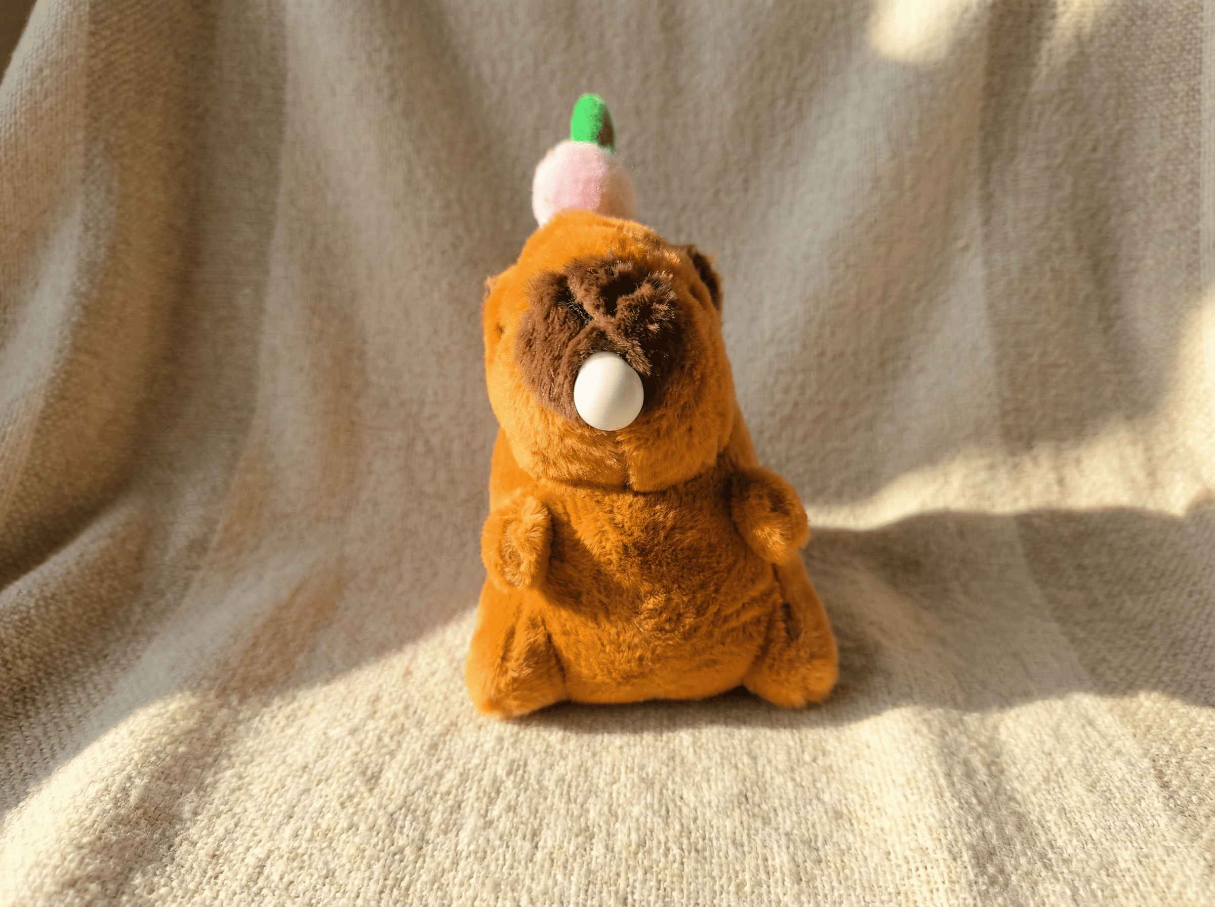 Capybara
